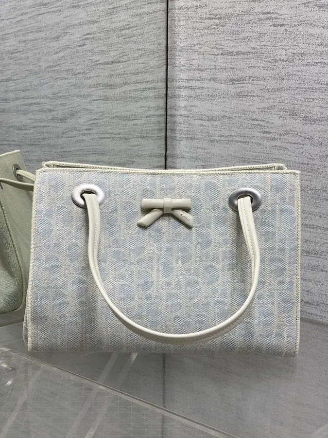 Dior washed blue canvas tote bag catalog photo