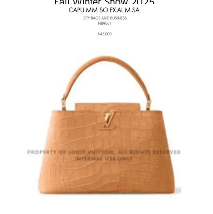 Louis Vuitton caramel leather tote bag catalog photo