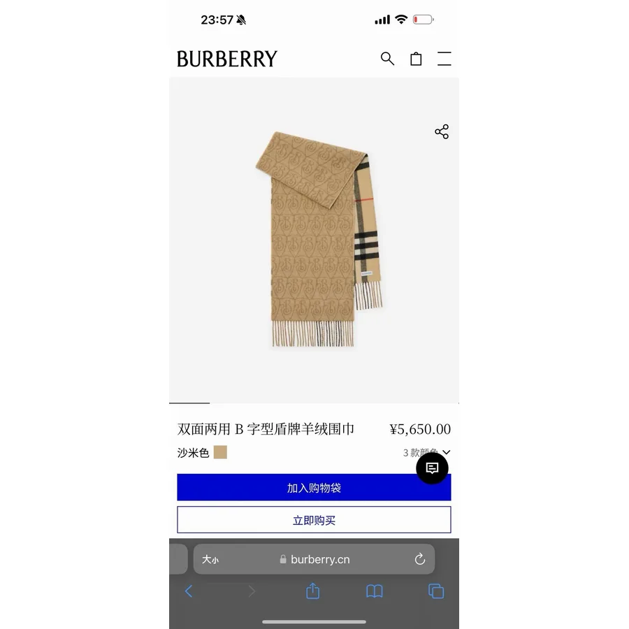 Burberry caramel accessory catalog photo