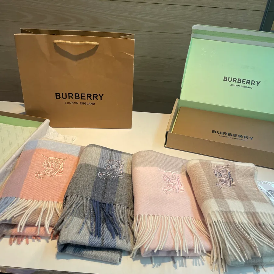Burberry accessory catalog photo