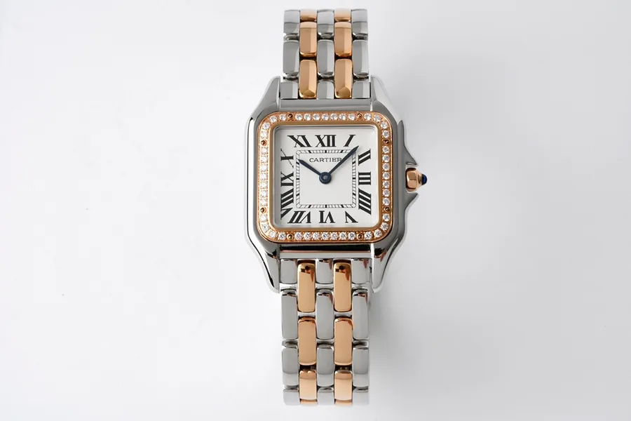 Bottega Veneta silver watch catalog photo