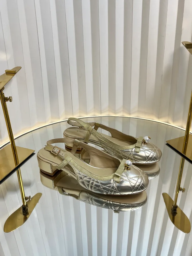 Dior silver shoe