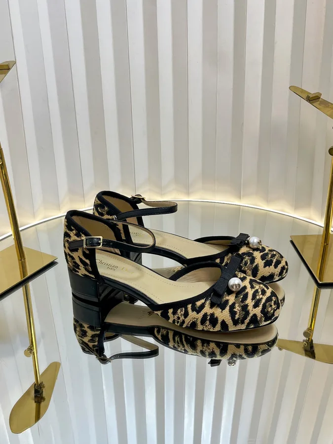 Dior shoe