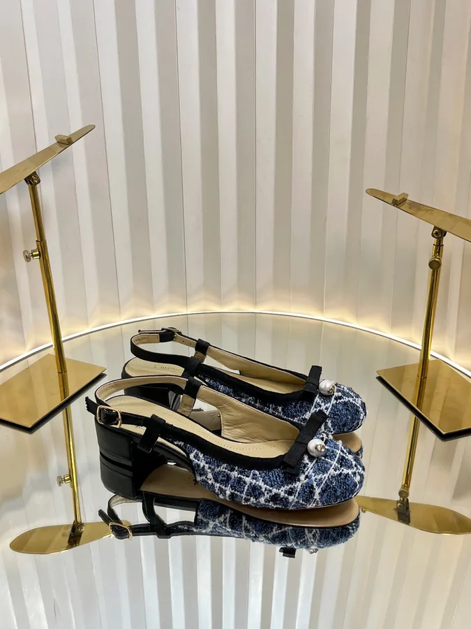 Dior navy shoe