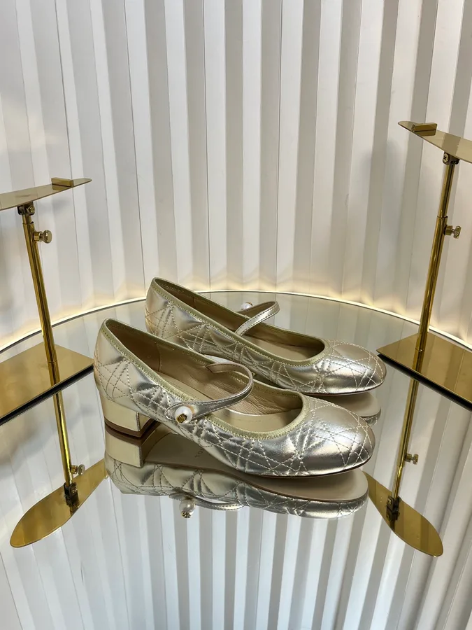 Dior silver shoe — ref 767893