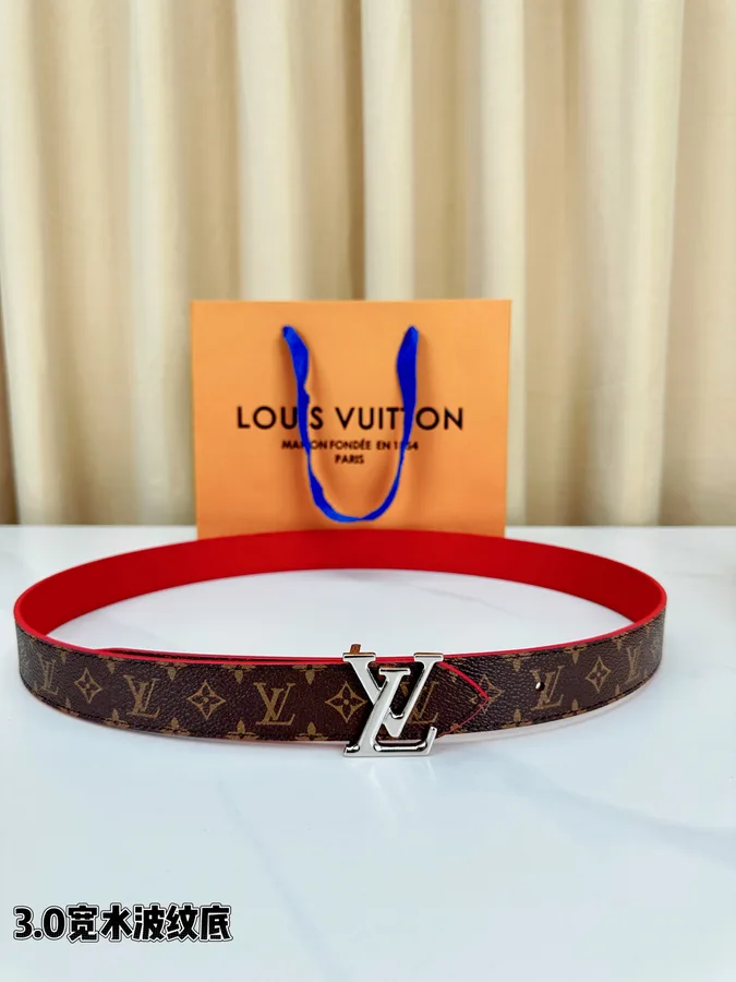 Louis Vuitton brown belt