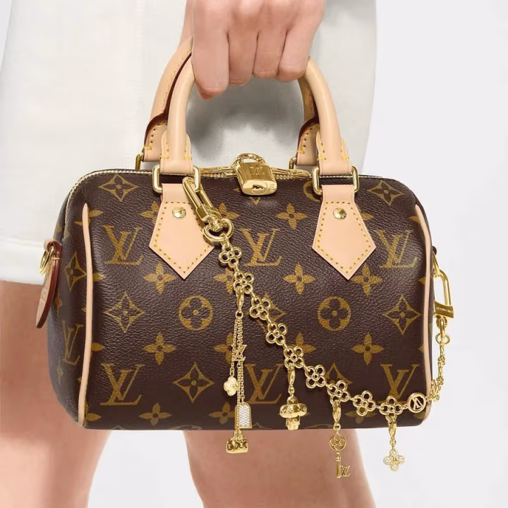 Louis Vuitton brown canvas bag — ref 794073