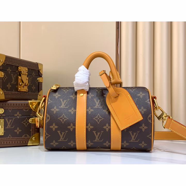 Louis Vuitton brown canvas bag — ref 790791