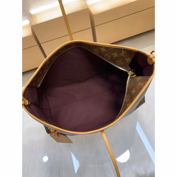 Louis Vuitton brown canvas bag — ref 831326