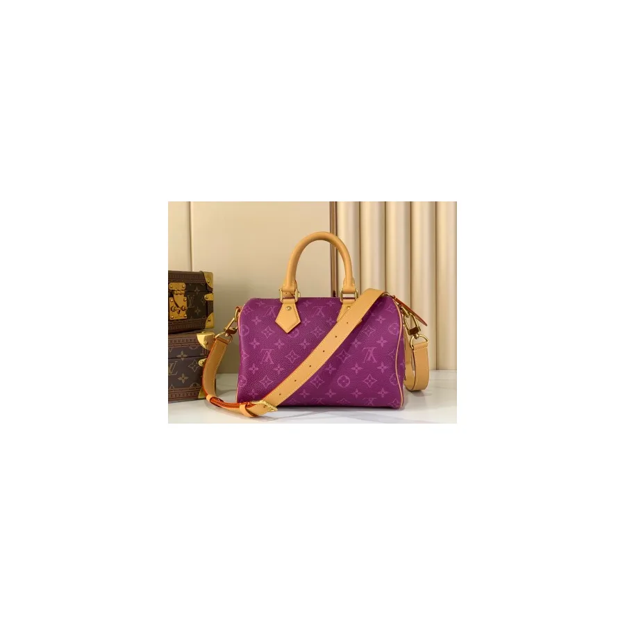 Louis Vuitton purple mini bag — ref 785376