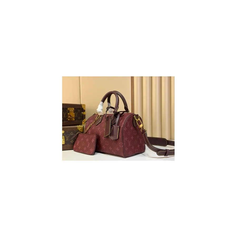 Louis Vuitton burgundy mini bag — ref 795007