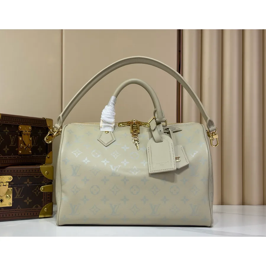 LV Speedy Soft 30 Bag Gallery Highlights — catalog photo