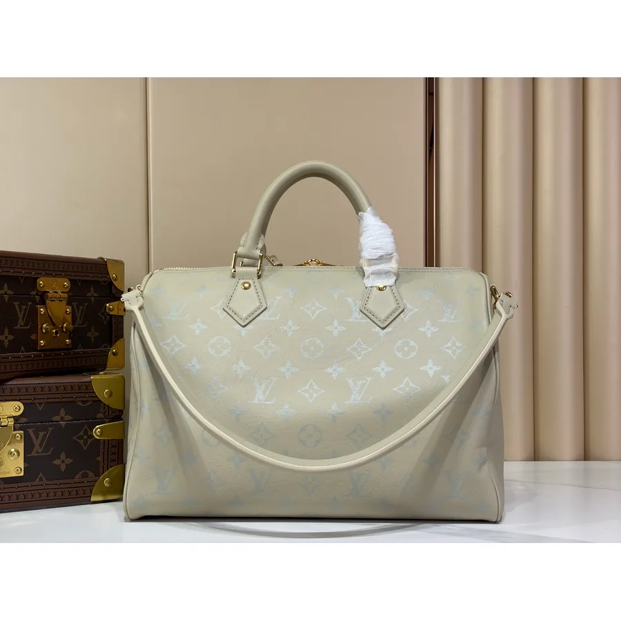 LV Speedy Soft 30 bag angle catalog photo