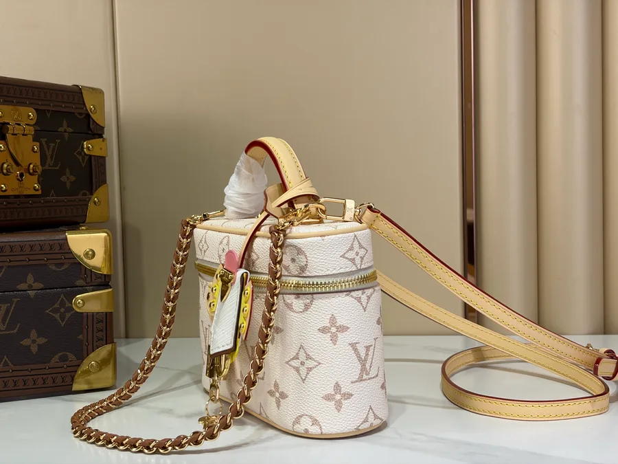 LV Vanity Chain Pouch chain and strap catalog photo