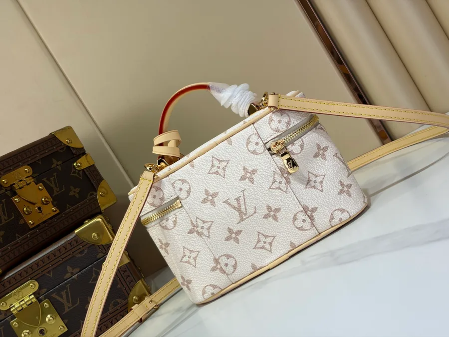 LV Vanity Chain Pouch detail catalog photo
