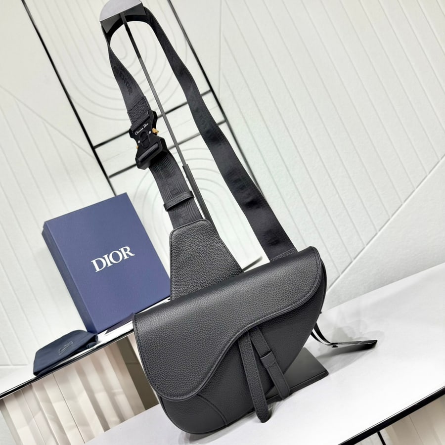 Dior Saddle catalog photo, album reference 776429