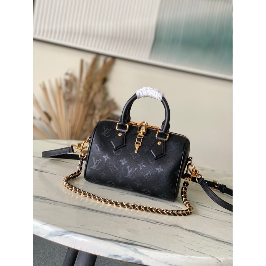 Louis Vuitton Speedy 25 catalog photo, album reference 795609
