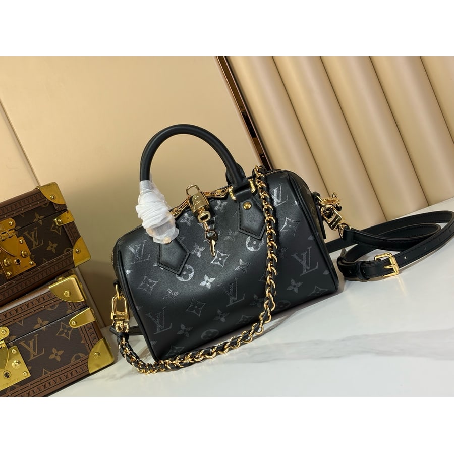 Louis Vuitton Speedy 25 catalog photo, album reference 795075