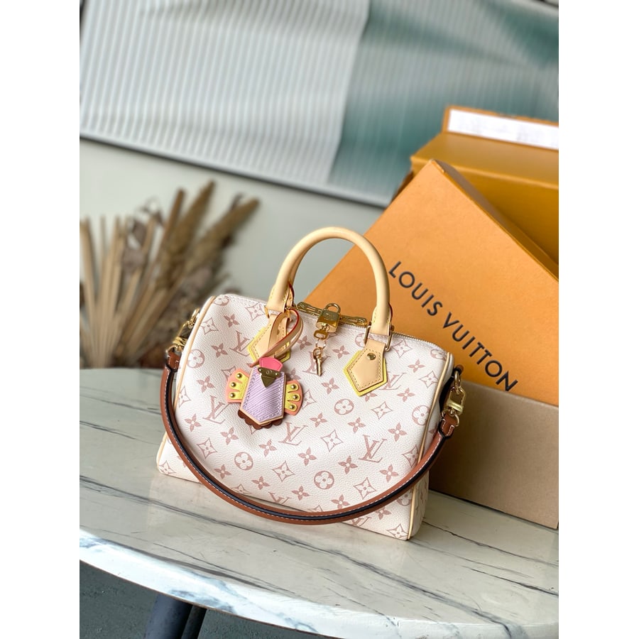 Louis Vuitton Speedy 25 catalog photo, album reference 794921