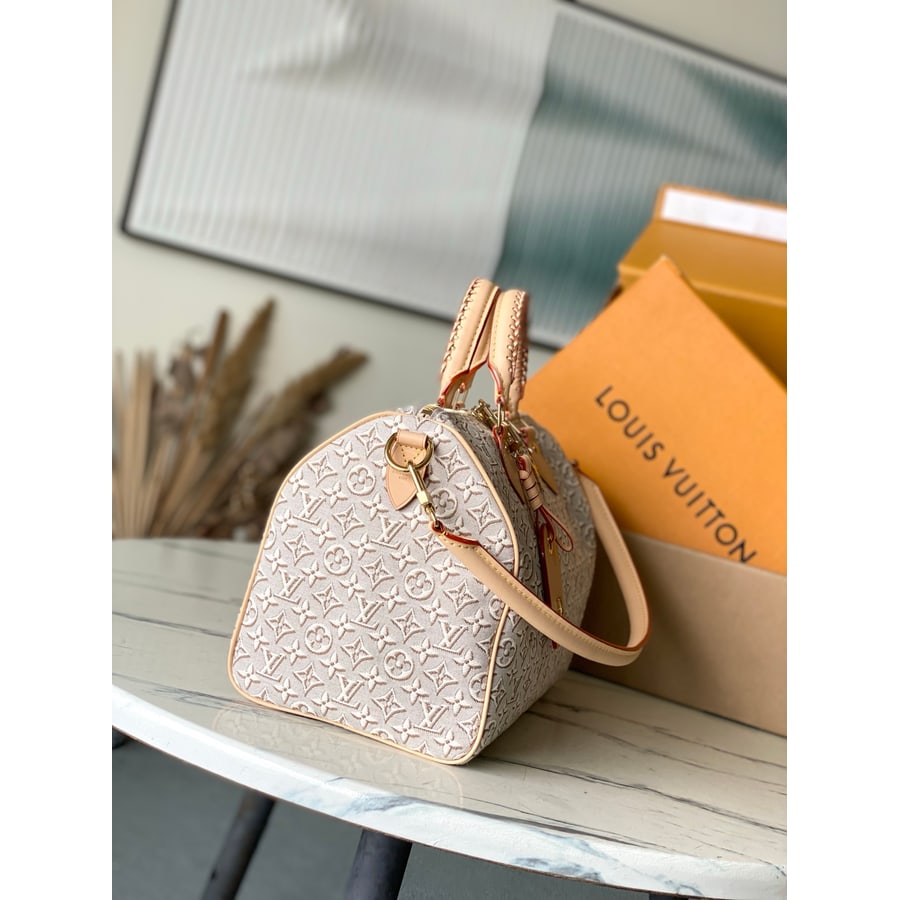 Louis Vuitton Speedy 25 catalog photo, album reference 794761