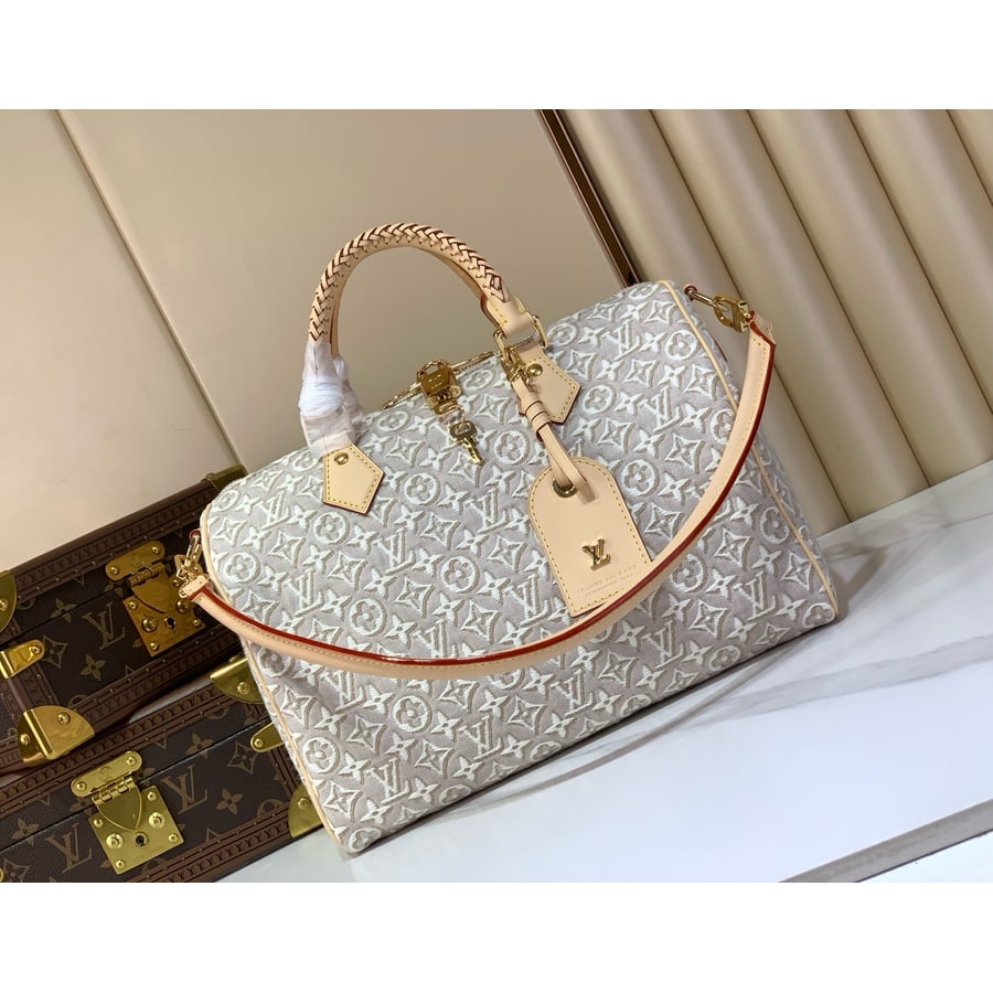 Louis Vuitton Speedy Soft 30 catalog photo, album reference 787715