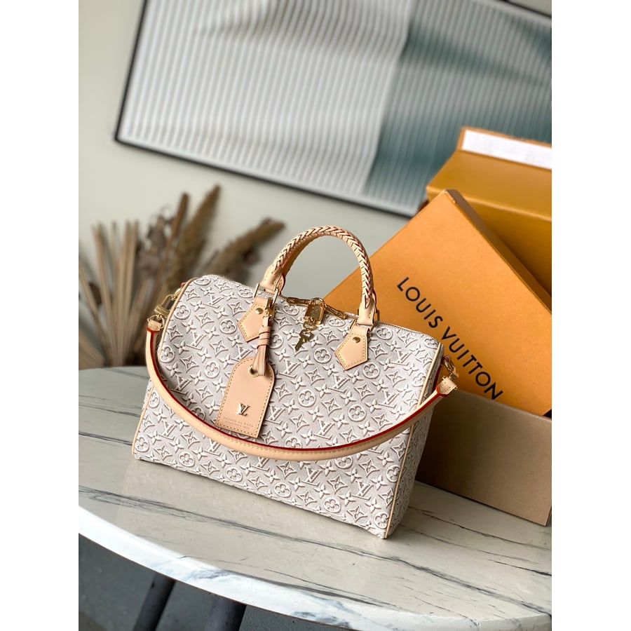 Louis Vuitton Speedy Soft 30 catalog photo, album reference 794761