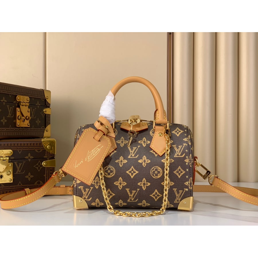 Louis Vuitton Speedy Soft 30 catalog photo, album reference 770221