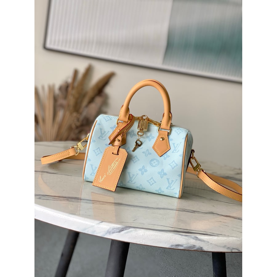 Louis Vuitton Speedy Soft 30 catalog photo, album reference 770307